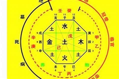 喜用神火木|掌握八字专旺格：喜用神为火木的命理解析